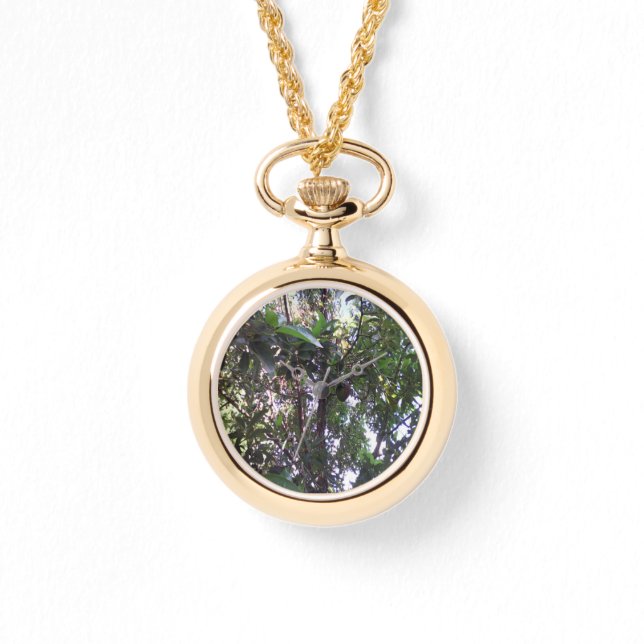 Montre Arbre d'avocat (Recto)