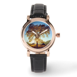 Montre Arbres de chêne noir Forêt nationale de Clevelan