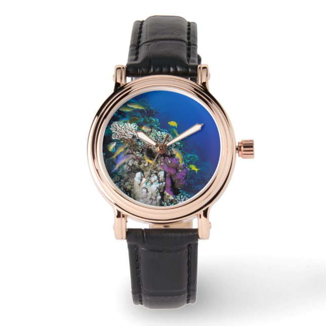 Montre Around Small Coral (Recto)