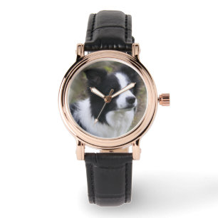 Montre Art de border collie