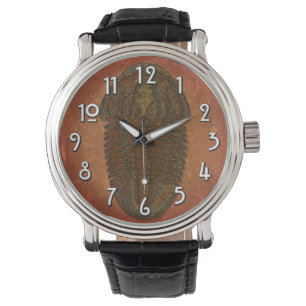Montre Asaphiscus Fossil Trilobite