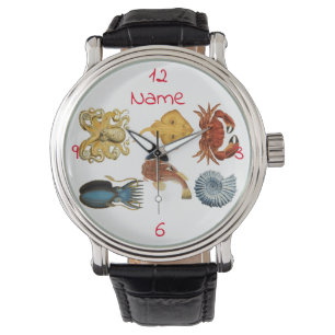 Montre Association d'apaces de mer uniques Thunder_Cove