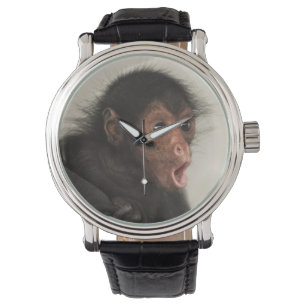 Montre Ateles paniscus à tête rouge)