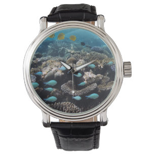 Montre Atoll tropical d'Ari de sud de la lagune  
