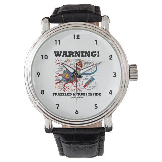 Montre Attention ! Synapse de neurone inside Frazzled (devant)