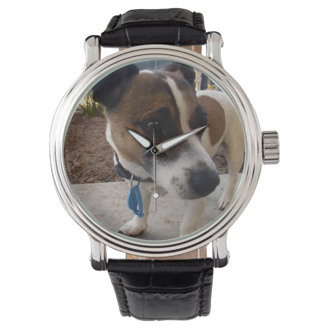 Montre Attraction de chien Fox Terrier, (devant)
