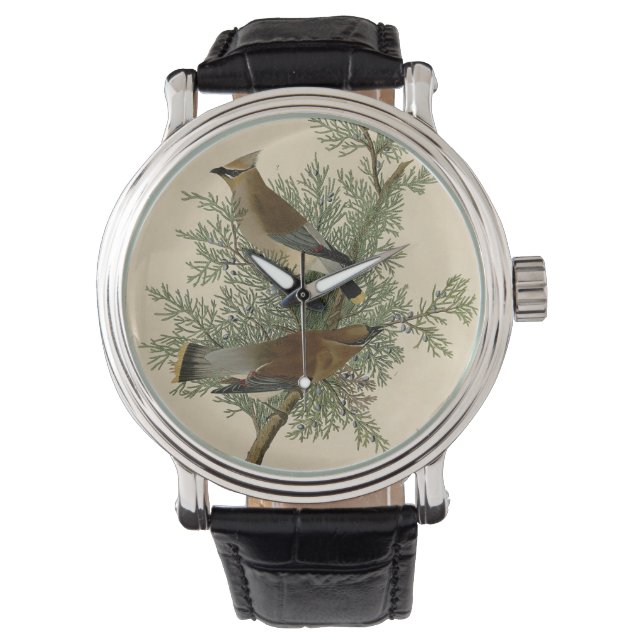 Montre Audubon Cèdre cire oiseau (devant)