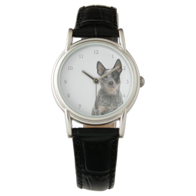 Montre Australian Cattle Dog Watch (devant)