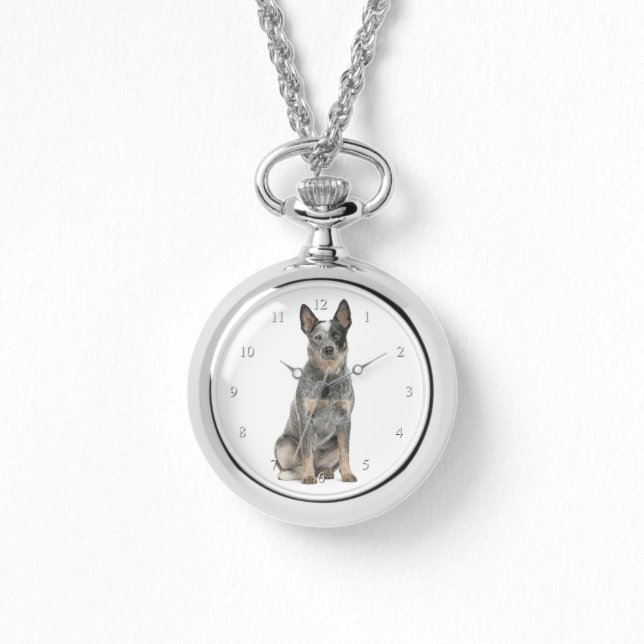 Montre Australian Cattle Dog Watch (Recto)