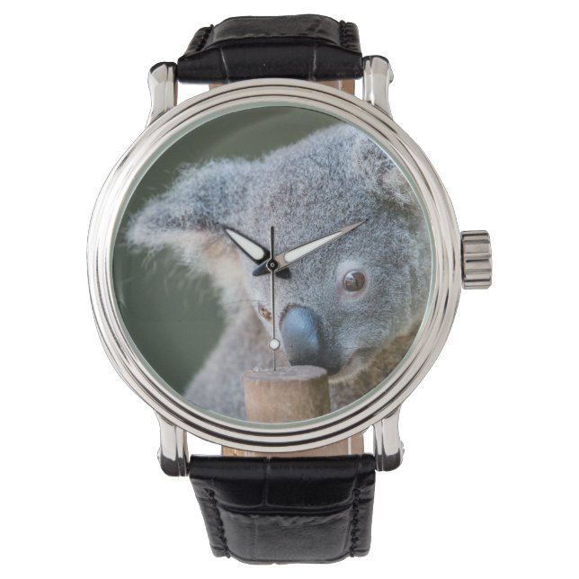 Montre Australie Koala Bear Classic watch (devant)