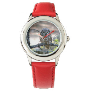 Montre avec hibou