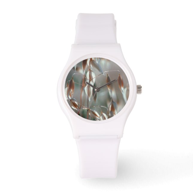 Montre Avoine Mûre (Avena Sativa) Gros Plan. Ceres, Bolan (Recto)
