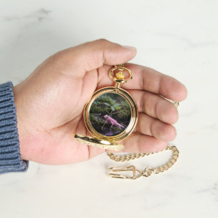 Montre Axolotl Rose En Bas De La Rivière,