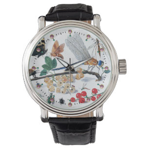 MONTRE BABFLIES, INSECTS, FLOWERS ET PLANTS