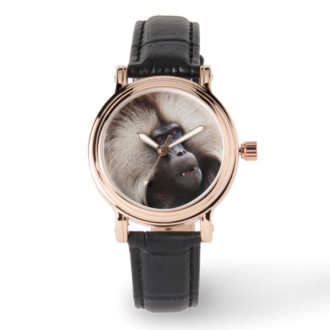 Montre Babouin gelada, Éthiopie (Recto)