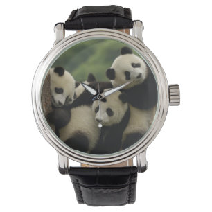 Montre Baby panda géante Ailuropoda melanoleuca)