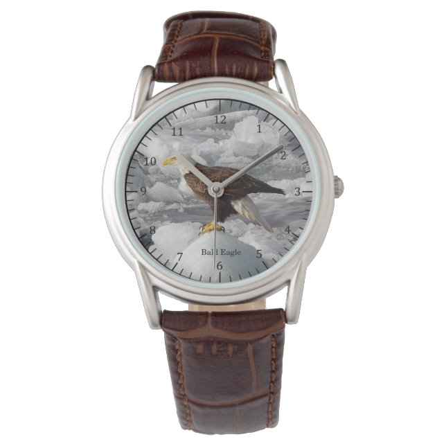 Montre Bald Eagle
