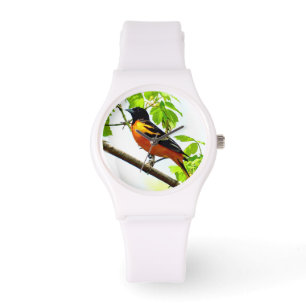 Montre Baltimore Oriole 1 Options de surveillance et de n