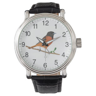 Montre Baltimore Oriole Bird