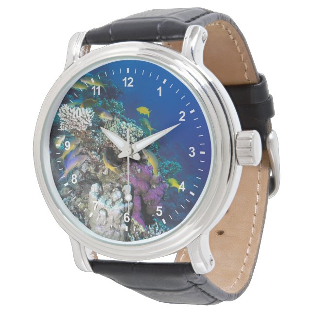 Montre Banc de rougets autour d'un petit corail (Incliné)