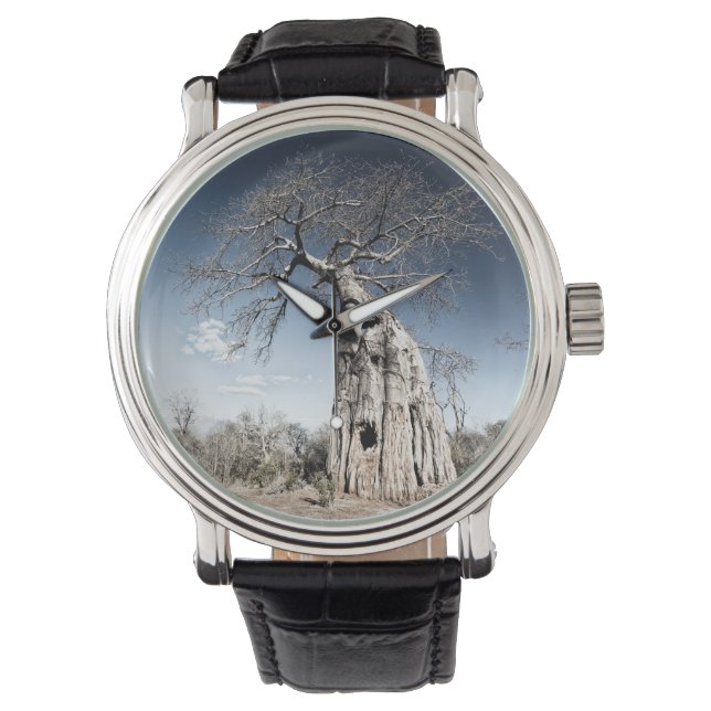 Montre Baobab dans le parc national des piscines de Mana, (devant)