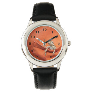 montre barbue de "lézard" de dragon