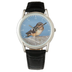 Montre Barne Swallow watch