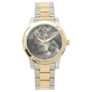 Montre Batmans Derrière Moi, N'Est-Ce Pas ?