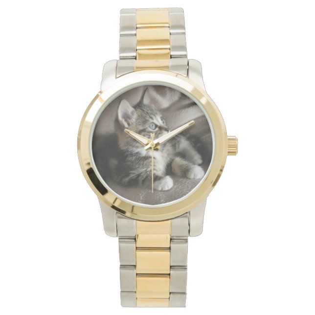 Montre Batmans Derrière Moi, N'Est-Ce Pas ? (devant)