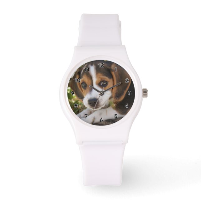 Montre Beagle Chien Chien Chien Chien Chien Chien Chien C (Recto)