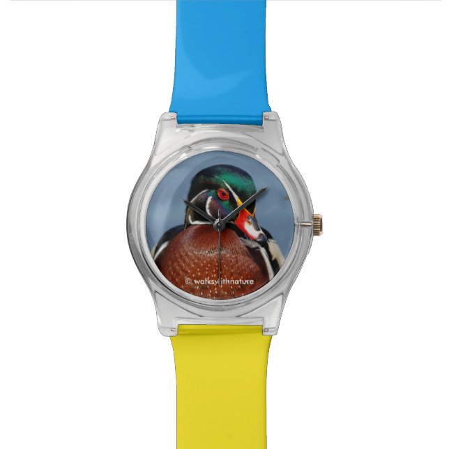 Montre Beau canard en bois pensif dans le marais (Fermer)