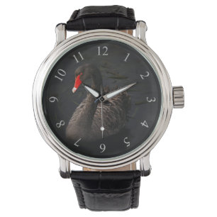 Montre Beau cygne noir avec un bec rouge vif