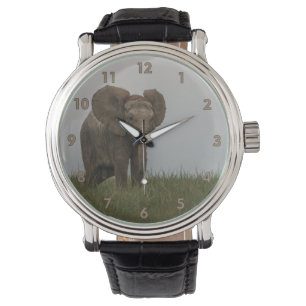 Montre Beau éléphant d'African Bush