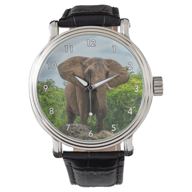 Montre Beau éléphant Jouer dans l'herbe (devant)