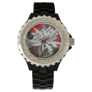 Montre Beau nivale de Leontopodium d'edelweiss