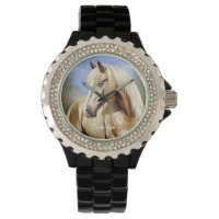 Beau Palomino Horse