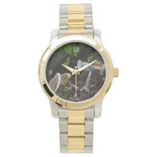 Montre Beauté douteuse