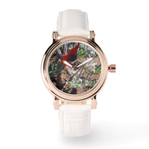 Montre Beauté du désert : pois de Sturt rouges et noirs