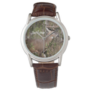 Montre Beaux cerfs communs de mule avec le support énorm