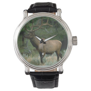 Montre Beaux élans