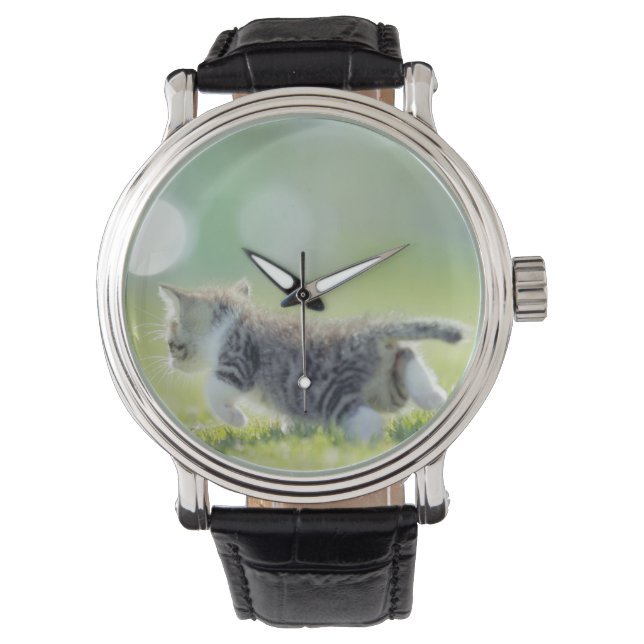 Montre Bébé chat courant sur le terrain d'herbe. (devant)