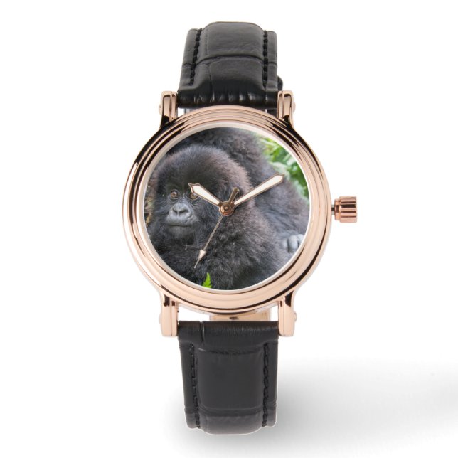 Montre Bébé gorille des montagnes (Recto)