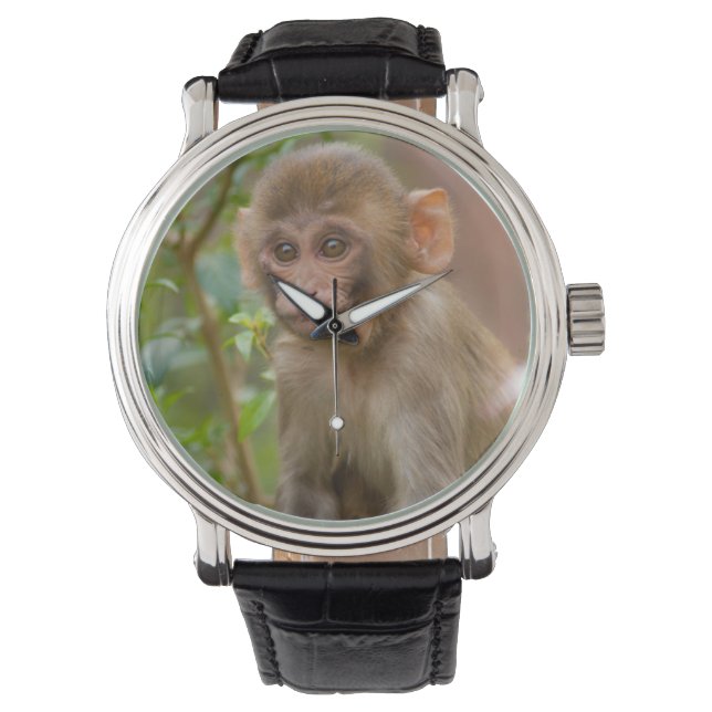 Montre Bébé Macaque Rhésus, Temple du Singe, Jaipur (devant)