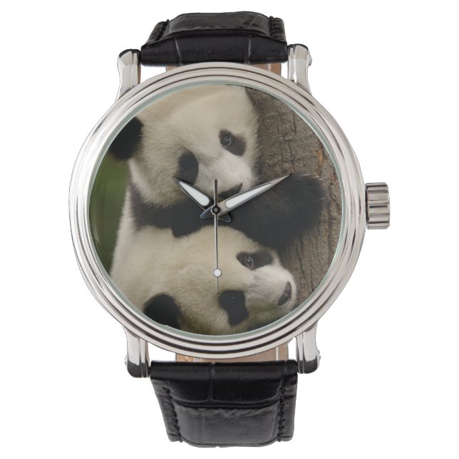 Montre Bébés de panda géant (Ailuropoda melanoleuca) 2 (devant)