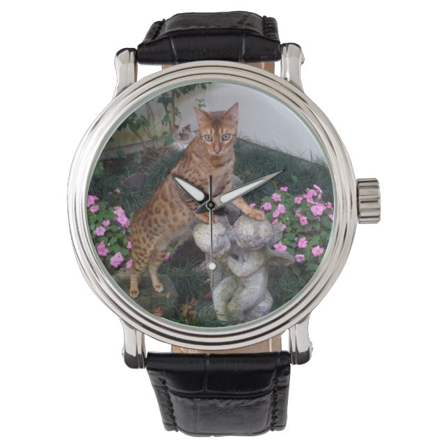 Montre Bengale sur la statue (devant)