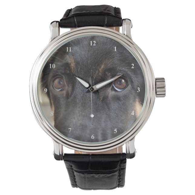Montre Berger allemand par Shirley Taylor (devant)