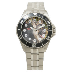 Montre berger allemand par Shirley Taylor