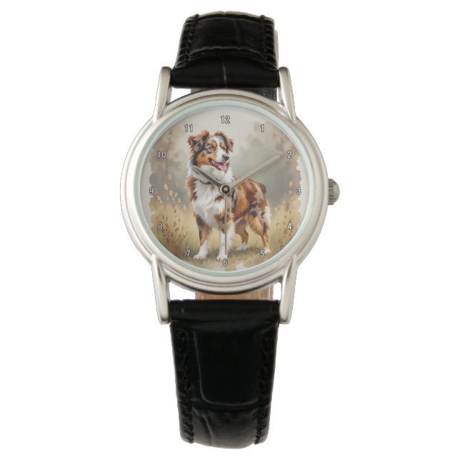 Montre Berger Australien Red Merle Aussie (devant)