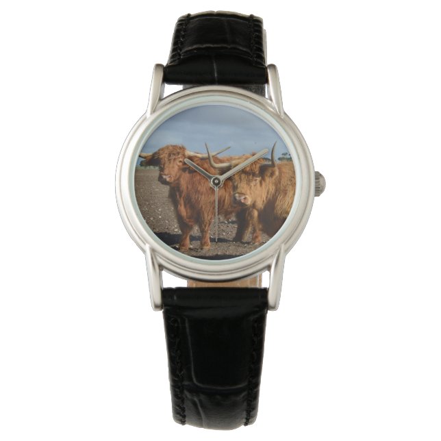 Montre Big Brown Highland Cows (devant)