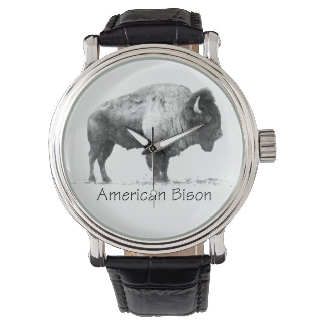 Montre Bison américain (devant)